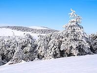 Wintry landscape [IBR125188152]