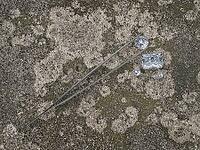 Various cut cluster of diamonds on an old cement [IBR125188171]