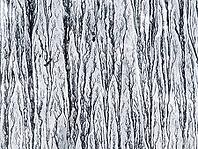 Abstract surface paint closeup background [IBR125188179]