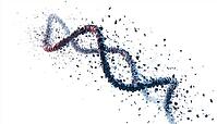 Destruction Of A Dna Molecule Captured In An Image - Depiction Of The Degradation Of A Dna Helix In Visual Form, AI generated [IBR125195749]