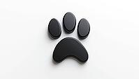 Pet Paw Prints: Adorable Animal Tracks For Dogs And Cats In Black Silhouette Shape. Paw Patterns For Cute Pets On Walks, AI generated [IBR125200705]