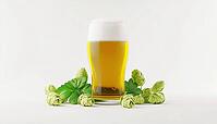 Bar'S Beer Hop: Original Brew With Hops For Craft Beer, Pab, Or Brewery. Explore A Variety Of Unique And Flavorful Drinks. A Must-Try Experience!, AI generated [IBR125200725]