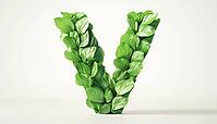 Sign With Letter 'V' And Leaf Symbol For Vegan And Vegetarian Food Diet, AI generated [IBR125200729]