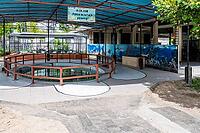 Turtle Conservation and Education Center, Sanctuary, Breeding, Saving Turtles, Bali, Indonesia [IBR125203132]