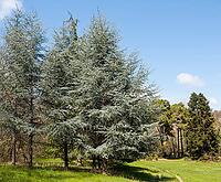 Botanic garden in Saints Constantine and Helena resort, Bulgaria [IBR125203173]