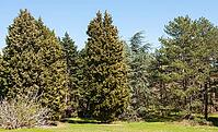 Botanic garden in Saints Constantine and Helena resort, Bulgaria [IBR125203191]