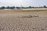 Extreme low tide level on the Rhine, after the driest and warmest July, since the weather was recorded, level record low, the banks are falling dry, shipping can only travel with reduced load and speed, Duisburg-Walsum, ferry terminal of the car and passe [IBR113322391]