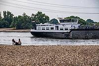 Extreme low tide level on the Rhine, after the driest and warmest July, since the weather was recorded, level record low, the banks are falling dry, shipping can only travel with reduced load and speed, Duisburg-Walsum, ferry terminal of the car and passe [IBR113322394]