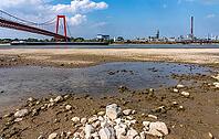 Rhine near Emmerich, extreme low water, Rhine level at 5 cm, downward trend, Emmerich Rhine bridge, cargo ships must travel with sometimes only 30 percent of the usual load, backdrop of the KLK Emmerich chemical plant, for oleochemical products, North Rhi [IBR113322434]