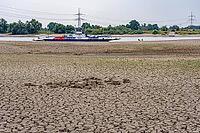 Extreme low tide level on the Rhine, after the driest and warmest July, since the weather was recorded, level record low, the banks are falling dry, shipping can only travel with reduced load and speed, Duisburg-Walsum, ferry terminal of the car and passe [IBR113322441]