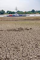 Extreme low tide level on the Rhine, after the driest and warmest July, since the weather was recorded, level record low, the banks are falling dry, shipping can only travel with reduced load and speed, Duisburg-Walsum, ferry terminal of the car and passe [IBR113322445]