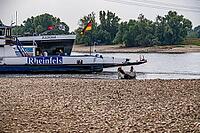 Extreme low tide level on the Rhine, after the driest and warmest July, since the weather was recorded, level record low, the banks are falling dry, shipping can only travel with reduced load and speed, Duisburg-Walsum, ferry terminal of the car and passe [IBR113322451]