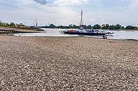 Extreme low tide level on the Rhine, after the driest and warmest July, since the weather was recorded, level record low, the banks are falling dry, shipping can only travel with reduced load and speed, Duisburg-Walsum, ferry terminal of the car and passe [IBR113322456]