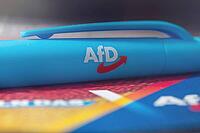 AfD symbolic image: close-up of a flyer and ballpoint pen [IBR113322470]