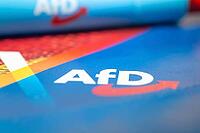 AfD symbolic image: close-up of a flyer and ballpoint pen [IBR113322471]