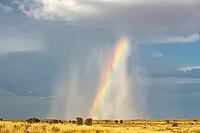 Rain and rainbow during the rainy season in the Kalahari Desert, Kgalagadi Transfrontier Park, South Africa [IBR125204131]