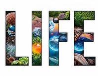 An artistic depiction of the word 'LIFE' filled with vivid imagery representing nature, wildlife, plants, and a serene sunset, symbolizing biodiversity and natural beauty, AI generated [IBR125229891]