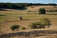 Parched meadows in the heat summer of 2026 near Oberspeltach, Frankenhardt-Oberspeltach, Frankenhardt, Burgbergturm, drought, heat stress, drought, climate change, summer, midsummer, August, pasture, Germany [IBR125237551]