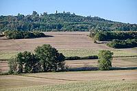 Parched meadows in the heat summer of 2026 near Oberspeltach, Frankenhardt-Oberspeltach, Frankenhardt, Burgbergturm, drought, heat stress, drought, climate change, summer, midsummer, August, Germany [IBR125237561]