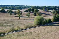 Parched meadows in the heat summer of 2026 near Oberspeltach, Frankenhardt-Oberspeltach, Frankenhardt, Burgbergturm, drought, heat stress, drought, climate change, summer, midsummer, August, Germany [IBR125237564]