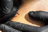 Tattooing with a needle on the scalp in the form of shaved hair. Permanent makeup for bald people to imitate hair follicles. Black medical gloves on a tattoo artist [IBR125242405]