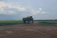 Special tractor with high wheels for, applying fertilizers and chemicals for tall crops [IBR125242428]