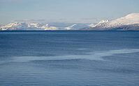 Aerial view of the Lyngen fjord, Lyngen Alps, Tromsoe, arctic Norway [IBR125242437]