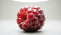 Fresh berry with a plump, glossy, unremarkable surface, food safety and produce contamination concept, studio shot, AI generated [IBR125242464]