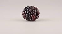 Fresh berry with a plump, glossy, unremarkable surface, food safety and produce contamination concept, studio shot, AI generated [IBR125242480]