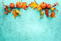 Autumn concept with pumpkins, flowers, autumn leaves and rowan berries on a turquoise background. Festive autumn decor, flat lay with copy space [IBR125261566]