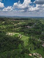 Aerial Drone View Terraced Rice Paddies, Lush Green Contours Cascading Across Jatiluwih Valley Under Bright [IBR125261575]