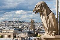 Gargoyle on Notre Dame Cathedral and city of Paris close up, France [IBR125261577]