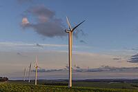 Windturbinen stehen im Spätsommerabendlicht unter blauem Himmel über offene Felder. Die Sonne schafft eine friedliche Atmosphäre und unterstreicht dabei erneuerbare Energien, Nachhaltigkeit und saubere Stromerzeugung [IBR125261624]