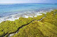 Ocean coastline, Bali, Indonesia [IBR125261626]