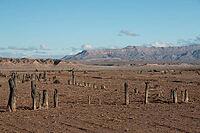 Abandoned Ghost city St Thomas in Lake Mead national recreation area, Nevada, USA [IBR125280361]