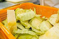 Workers in gloves are engaged in cutting and cleaning the heads of white cabbage with subsequent shredding for cooking [IBR125280363]