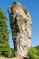 Rock [IBR125280372]