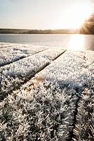 Hoar frost ice crystals close-up on wooden surface by lake Lohjanjärvi, Lohja, Finland [IBR125324060]