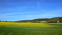 Rape field in Werra-Meißner-Krei, North Hesse [IBR125324086]