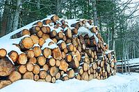 Logs of wood cut and stacked in the mountains under the snow [IBR125324125]