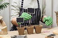 A woman arranges wooden markers in paper cups with soil to sign the names of the planted seeds. Growing at home [IBR125331116]