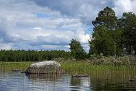 The beautiful picture of Karelian forest at the edge of a lake, and some huge boulder in this lake [IBR125331130]