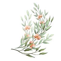 Decorative floral branches. Floral illustration with leaves and flowers. Botanical composition [IBR125331165]