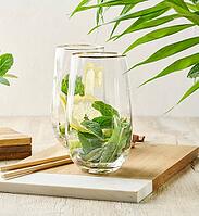 Preparing a refreshing drink. Two glasses filled with fresh lemon slices and mint leaves on a wooden board with a green plant background [IBR125331189]