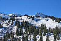 Snowy alpine landscape with the Gscheideggkogel and dense coniferous forest under bright blue sky, Styria, Austria [IBR125344233]