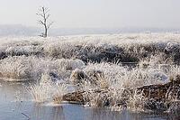 Icy moor landscape at sunset [IBR125344235]