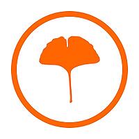 Ginkgo Blatt und Kreis - Ginkgo leaf and circle [IBR125344239]