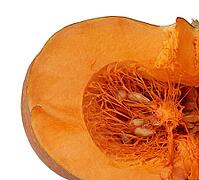 Halved big orange pumpkin with seeds isolated on a white background, autumn harvest [IBR125344289]