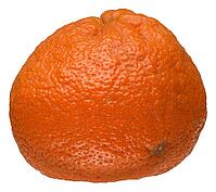 Reife Mandarine mit Schale vor weißem Hintergrund [IBR125363601]