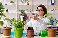 Old biotechnology chemist working in laboratory [IBR125382588]